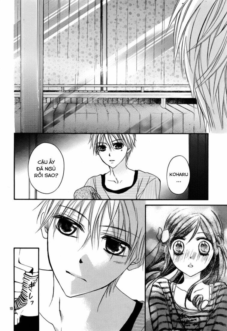 Hachimitsu Ni Hatsukoi: Chapter 13
