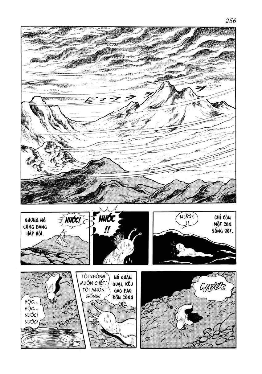 Chim Lửa: Chapter 29