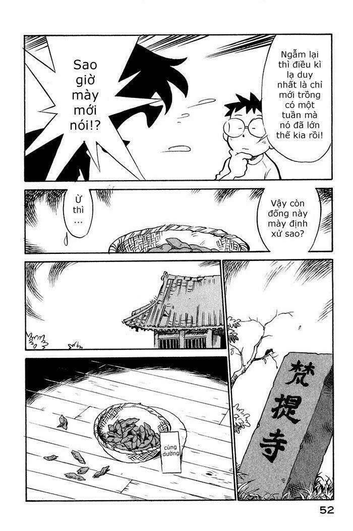 Lucu Lucu: Chapter 12