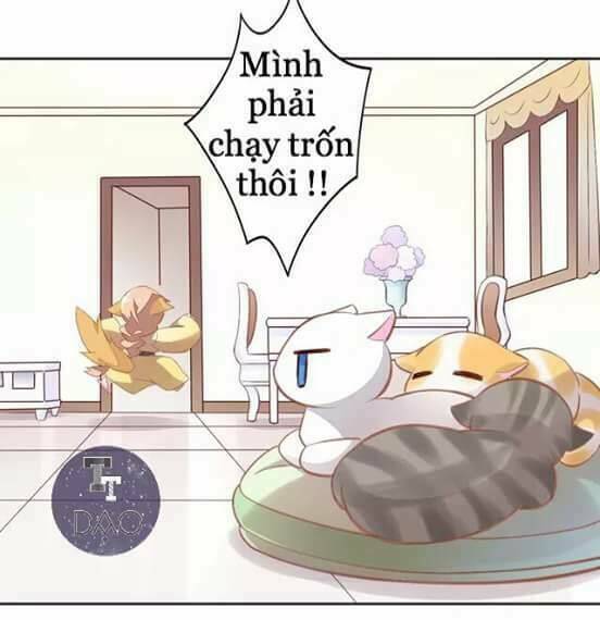 Dưới Móng Vuốt Mèo: Chapter 7