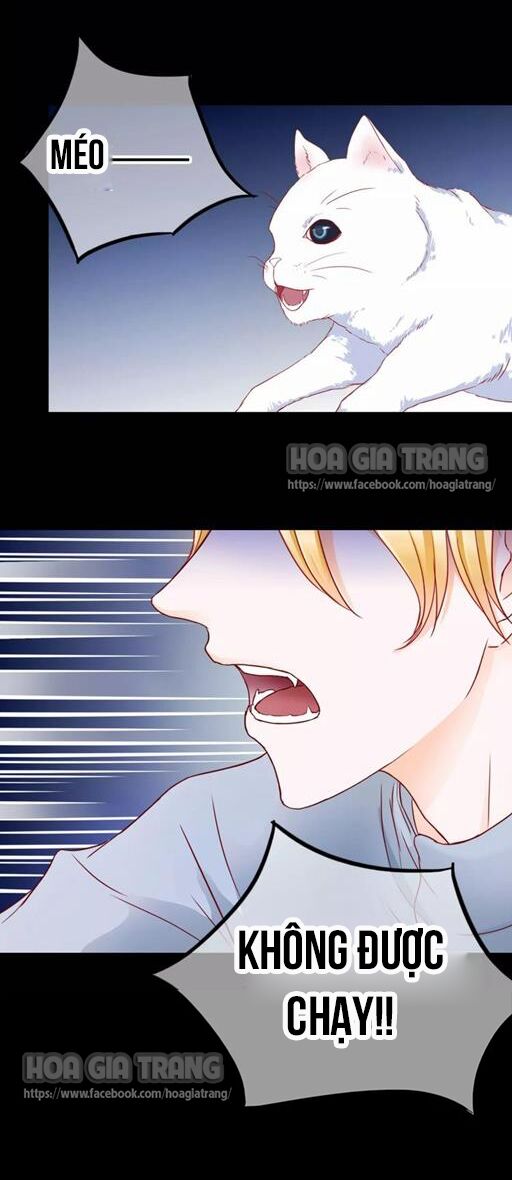 Ở lại thế kỷ này: Chapter 4