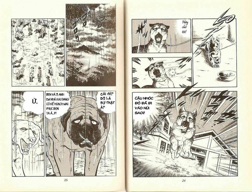 Chú Chó Có Nghĩa - Ginga Nagareboshi Gin: Chapter 13