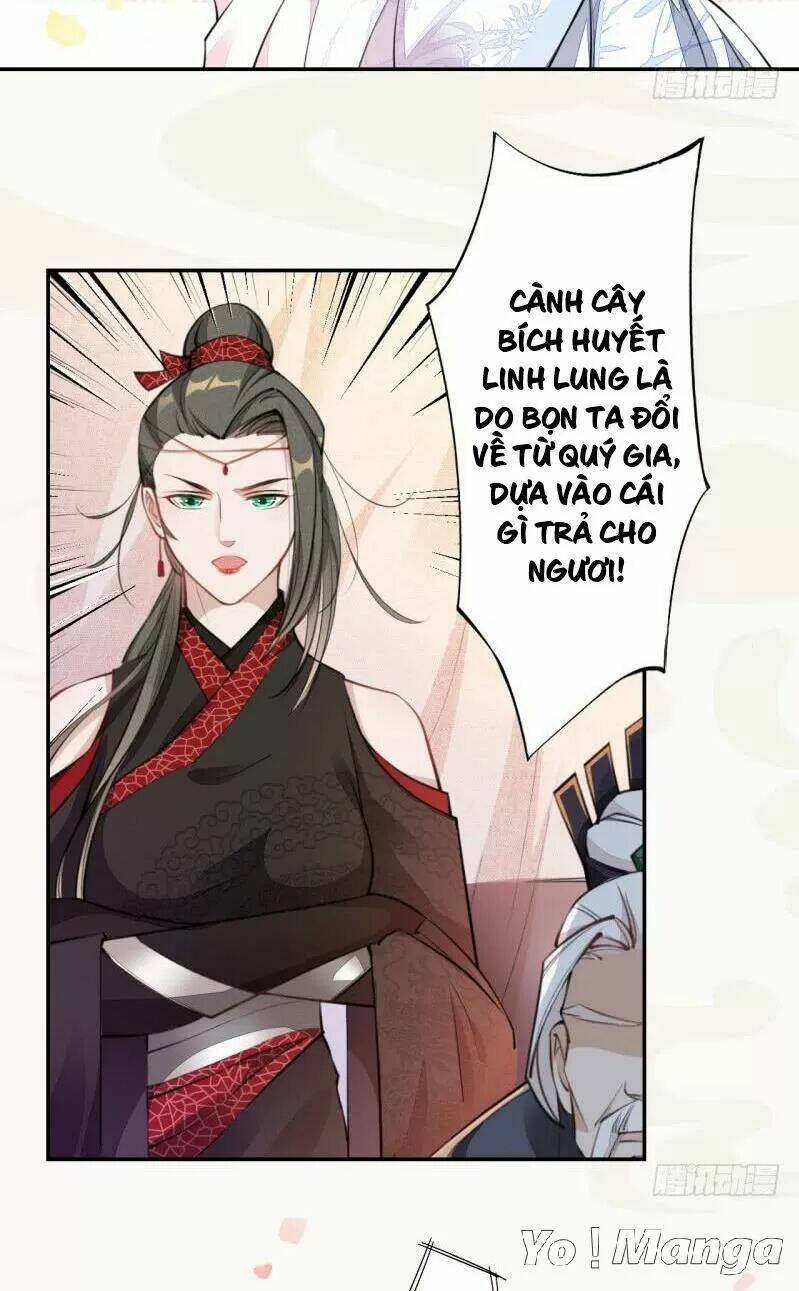 Tuyệt Thế Luyện Đan Sư: Chapter 50