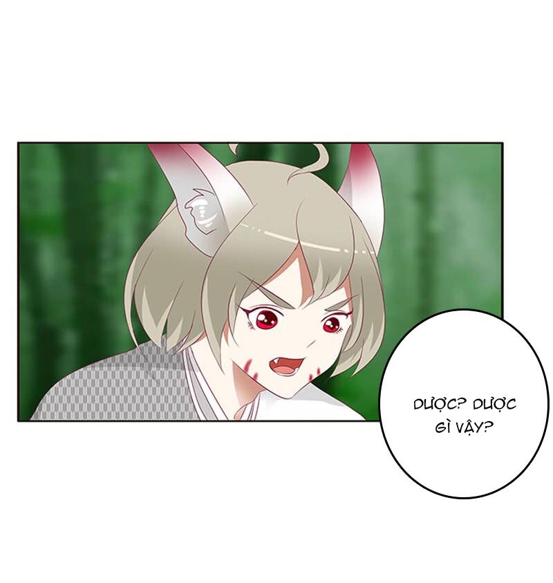 Thông Linh Phi: Chapter 324