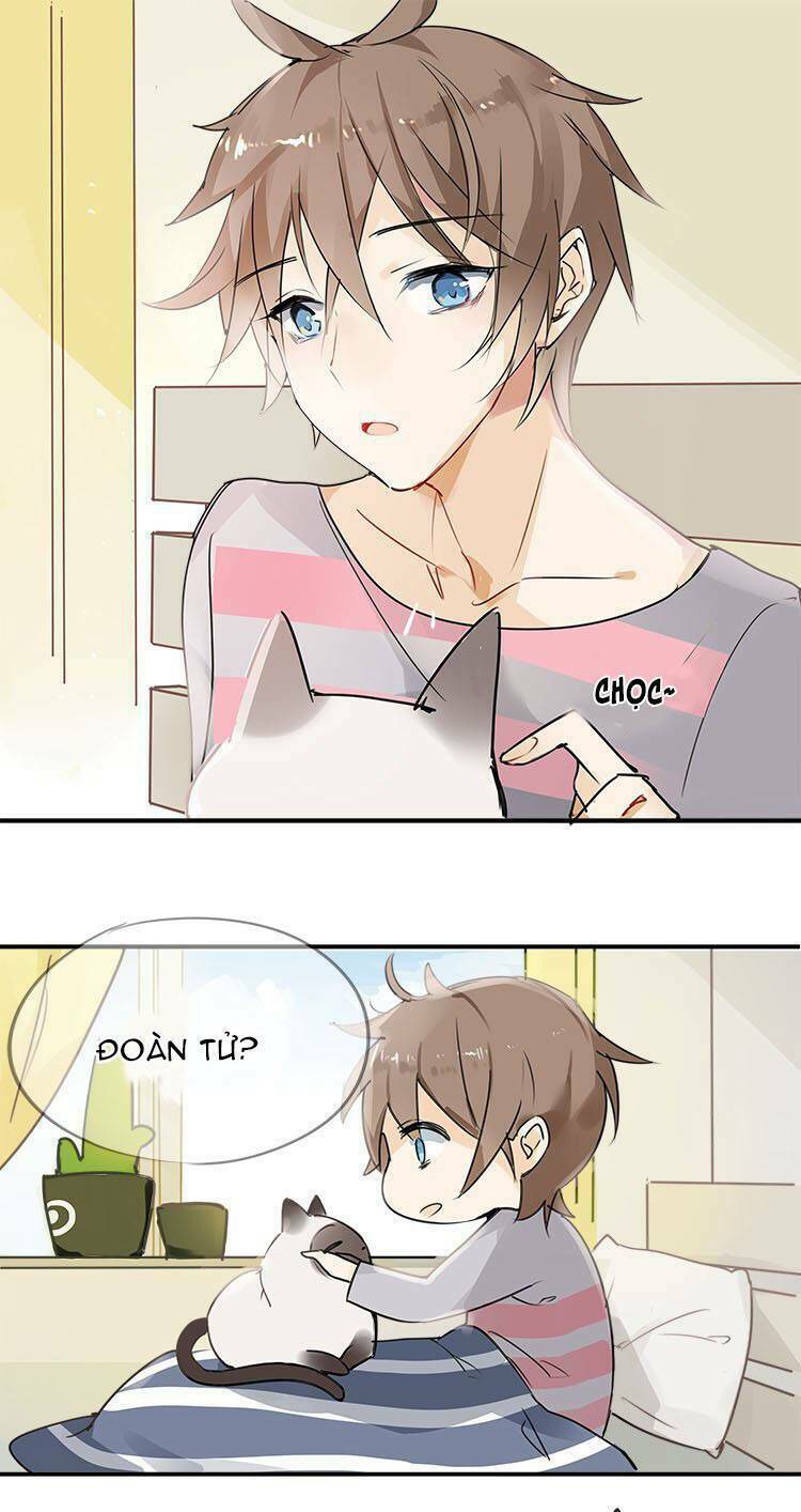 Nghe Thấy Thời Gian Rung Động: Chapter 2