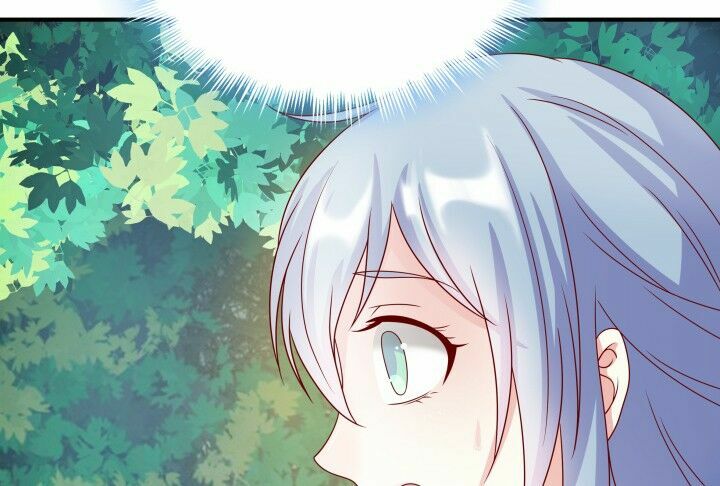 Đô đốc đại nhân sủng thê kí: Chapter 1.8