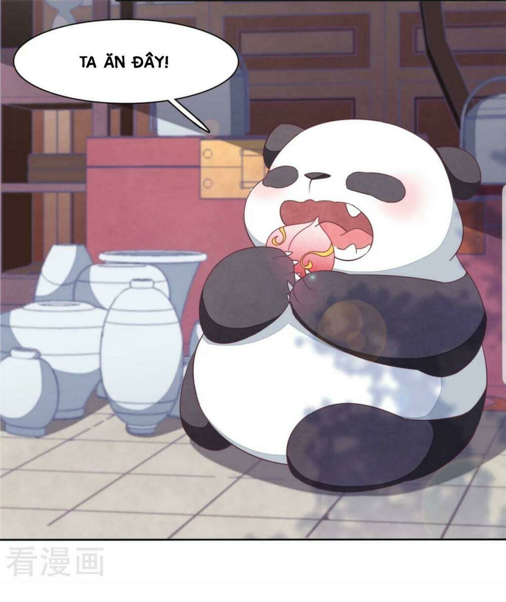 Xuyên Về Cổ Đại Làm Quốc Bảo: Chapter 11