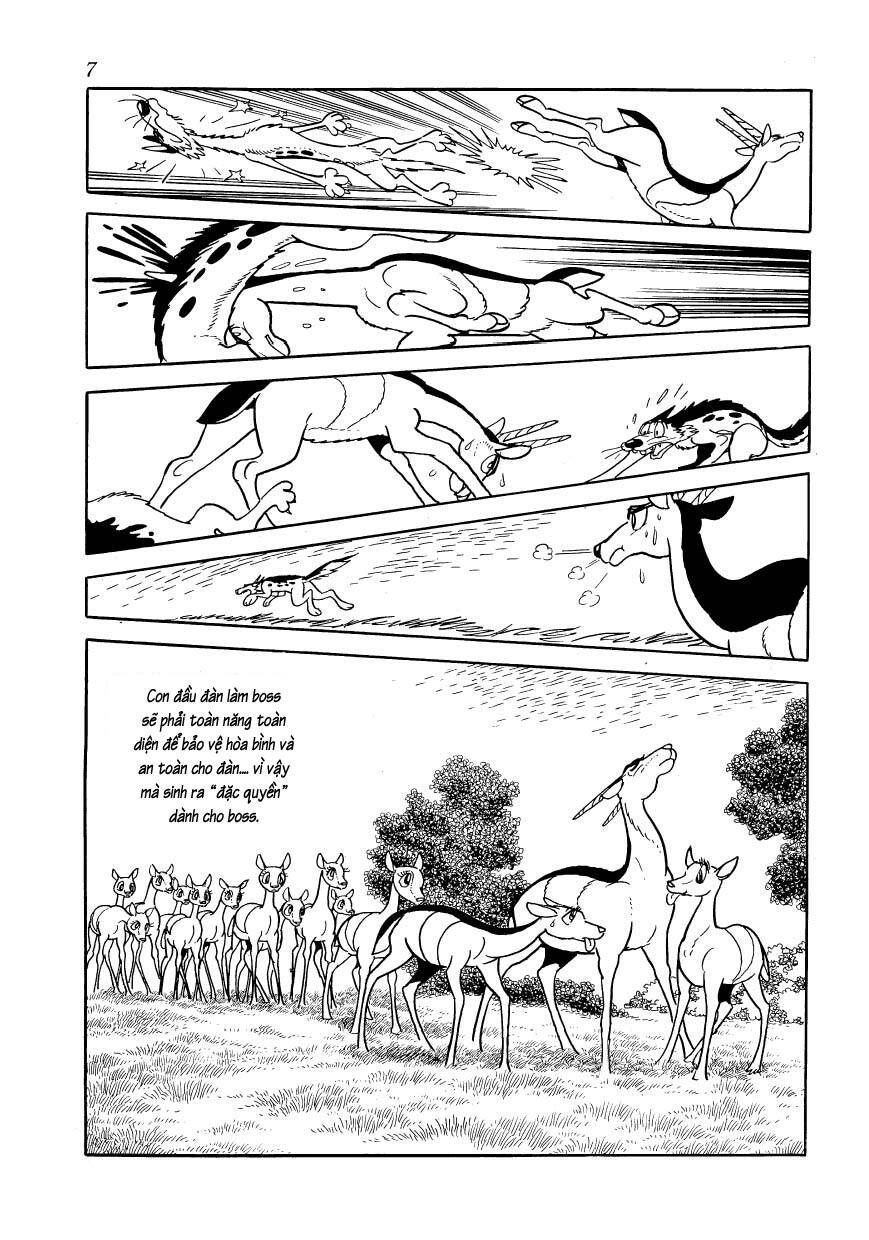 Chim Lửa: Chapter 77