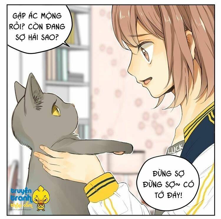 Cứu Mạng! Loài Mèo Thống Trị Thế Giới Rồi!: Chapter 25