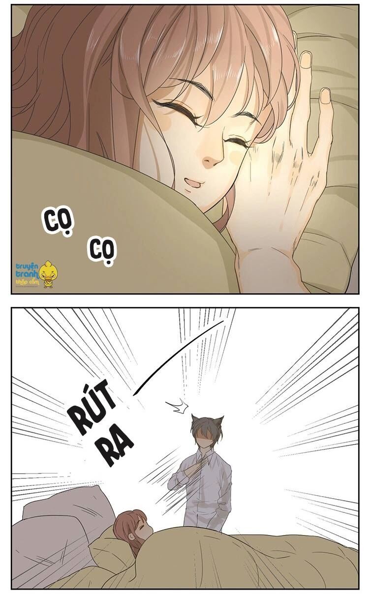 Cứu mạng ! Loài mèo thống trị thế giới rồi !: Chapter 15