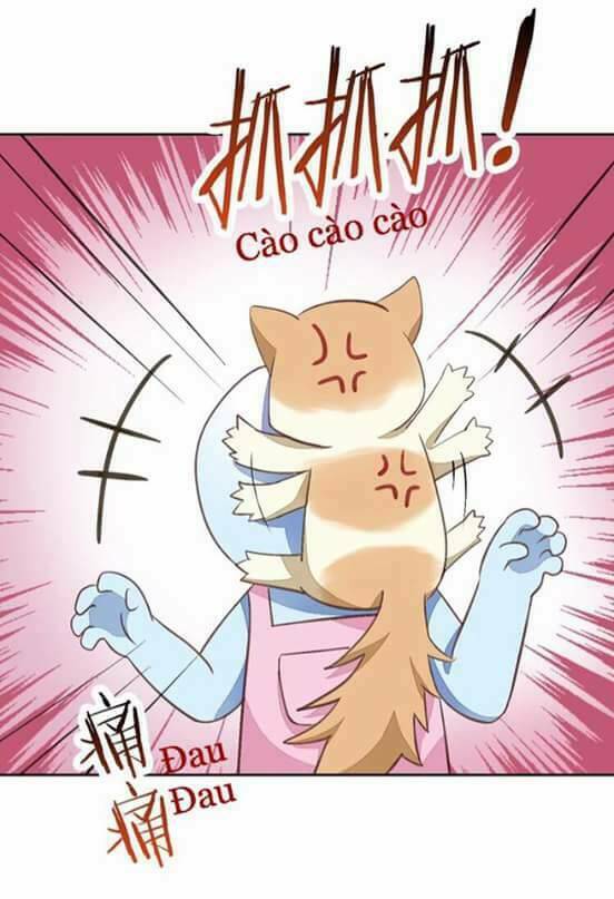 Dưới Móng Vuốt Mèo: Chapter 5