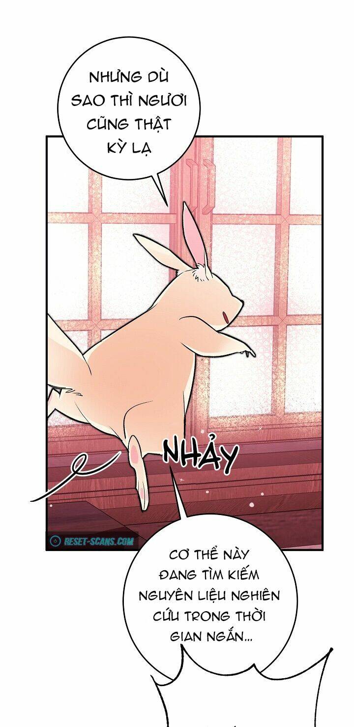 Công Nương Đã Thay Đổi: Chapter 33