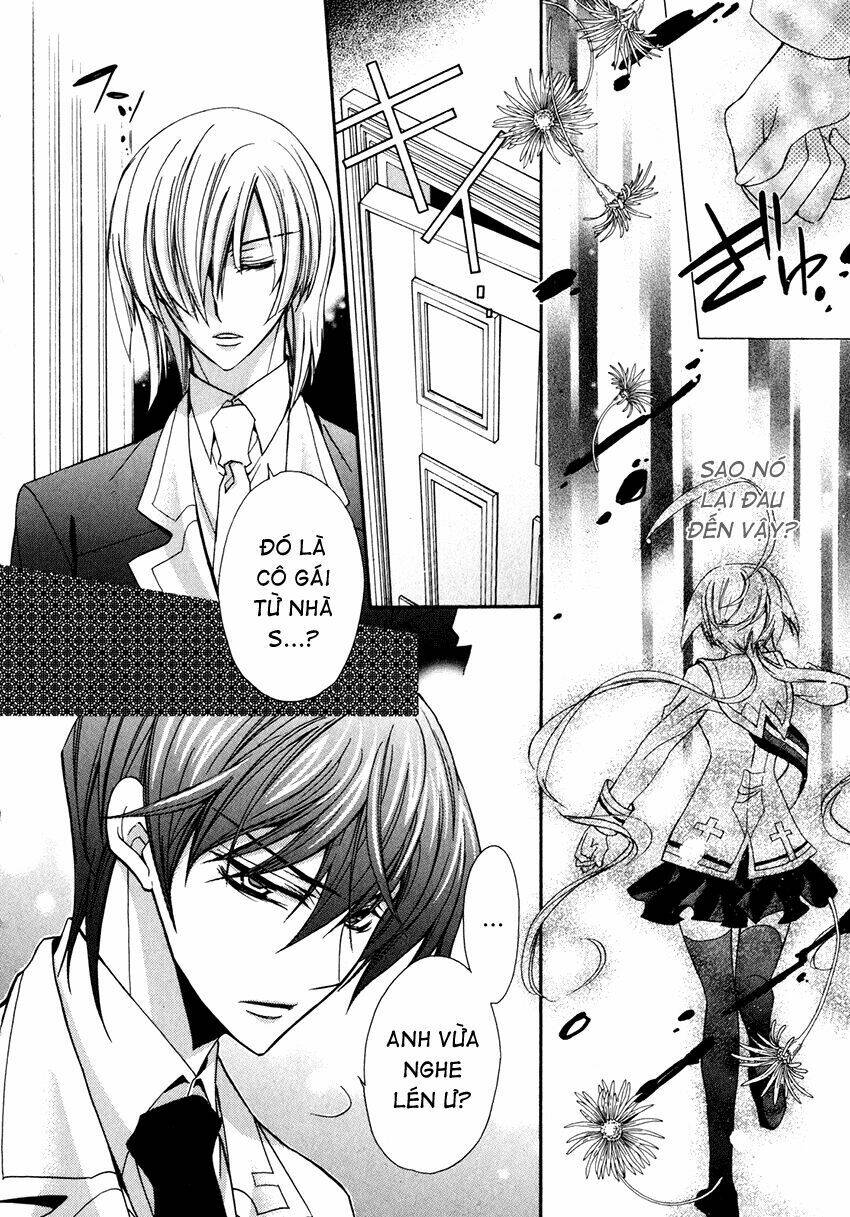 S.L.H (Stray Love Hearts): Chapter 6