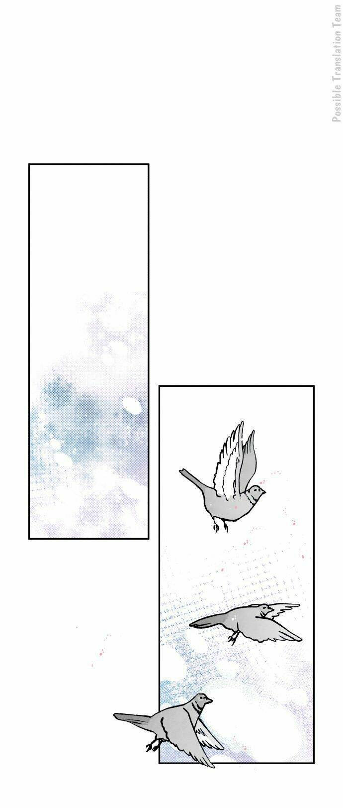 Tai Sói Và Mũ Đỏ: Chapter 40