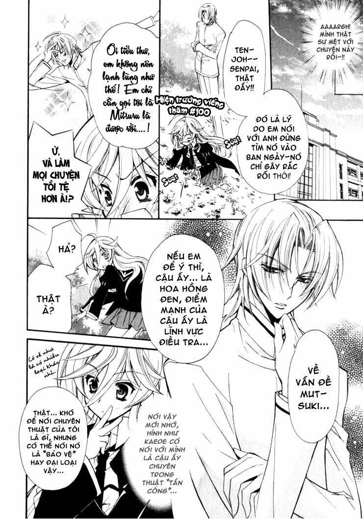 Nụ Hôn Của Công Chúa Tường Vi: Chapter 3