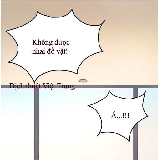 lượm được một tiểu hồ ly: Chapter 6