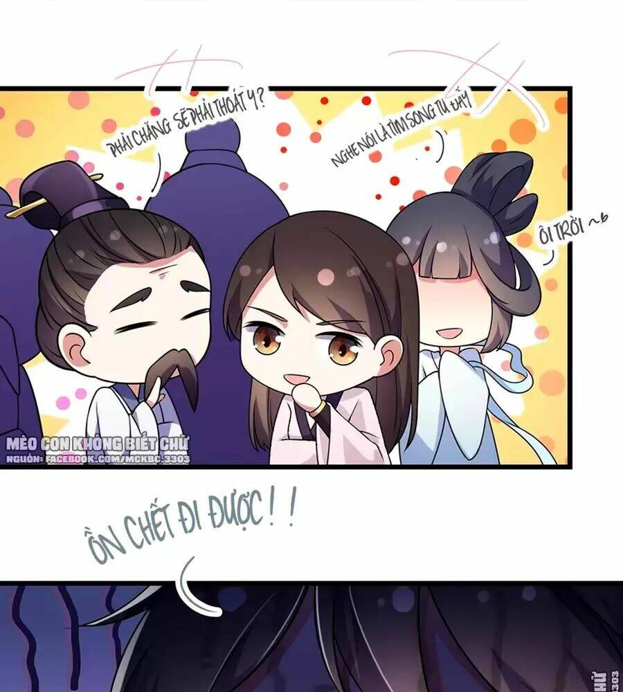 Báo Cáo! Đế Quân Ngài Có Độc!: Chapter 3