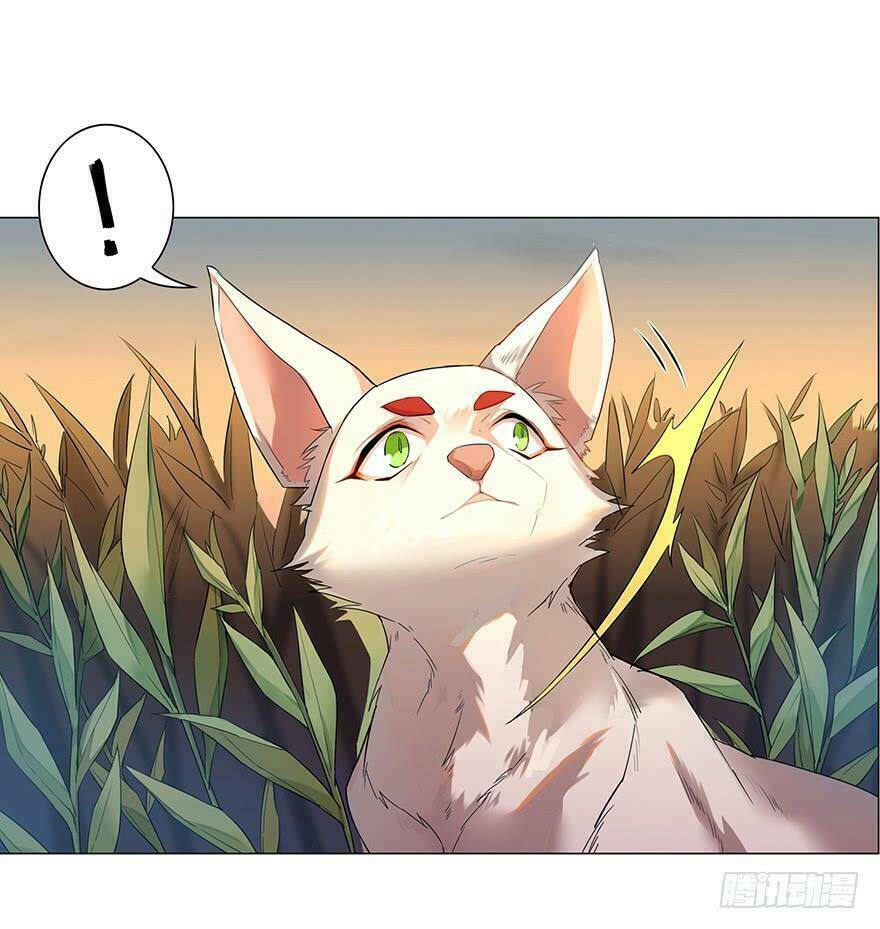 Phụng Quy: Chapter 1