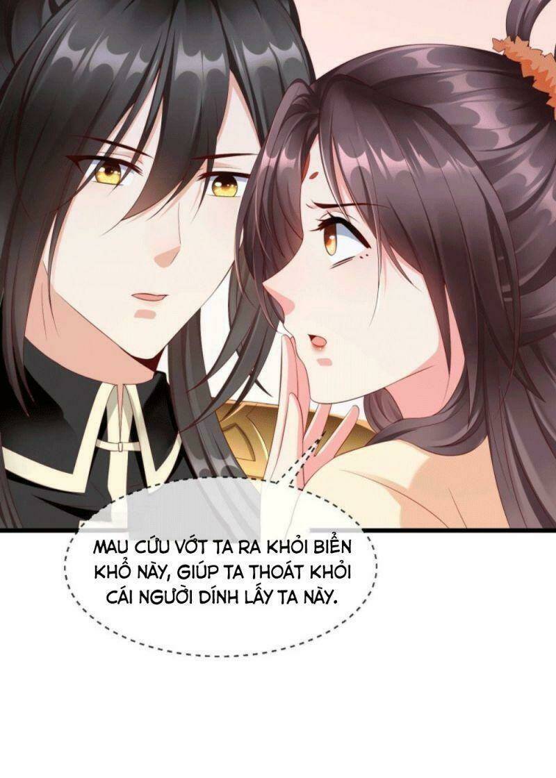 Vương Phi Là Đoá Bạch Liên Hoa: Chapter 29