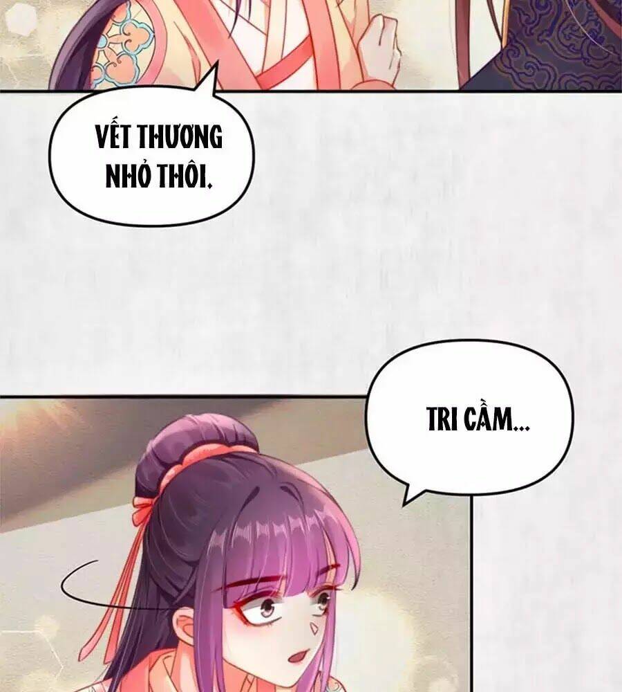 Hoạn Phi Hoàn Triều: Chapter 44