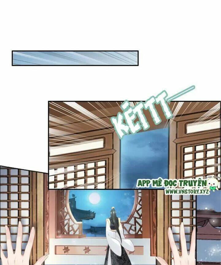 Nhất Sinh Nhất Thế Tiếu Thương Khung: Chapter 65