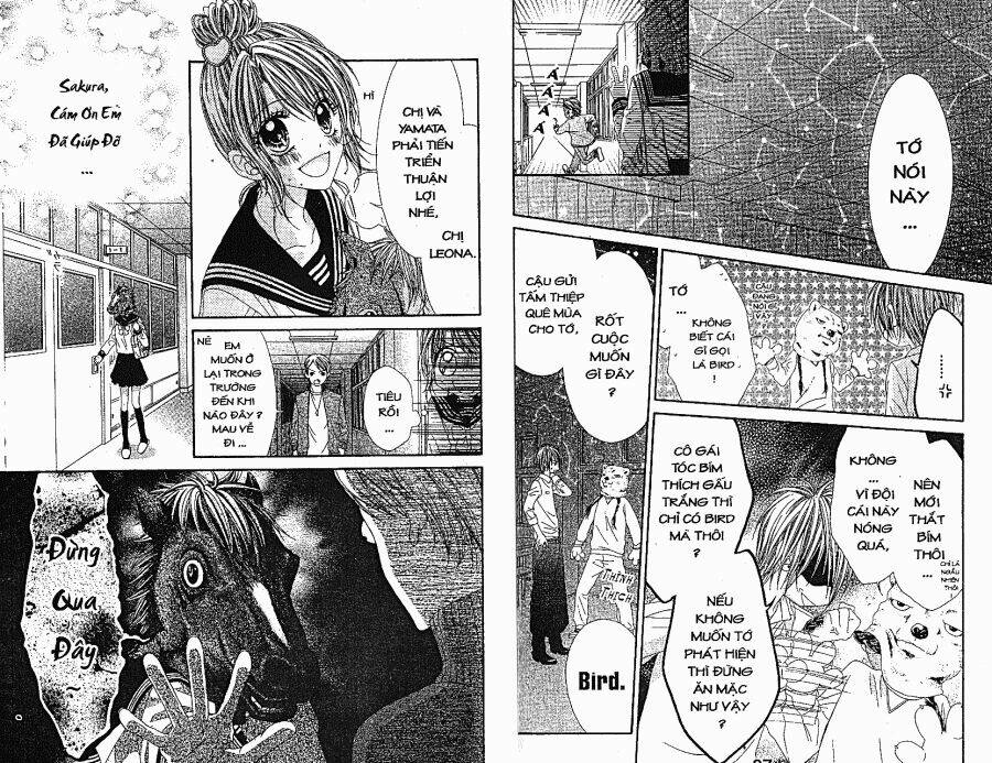 Khởi Đầu Tình Yêu: Chapter 3