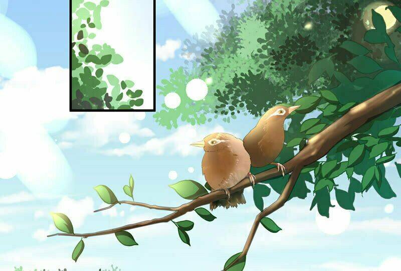 Chiến Lược Lãng Mạn Của Thịnh Thiếu: Chapter 22