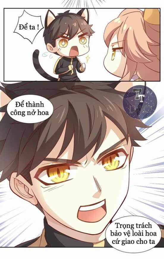 Dưới Móng Vuốt Mèo: Chapter 2
