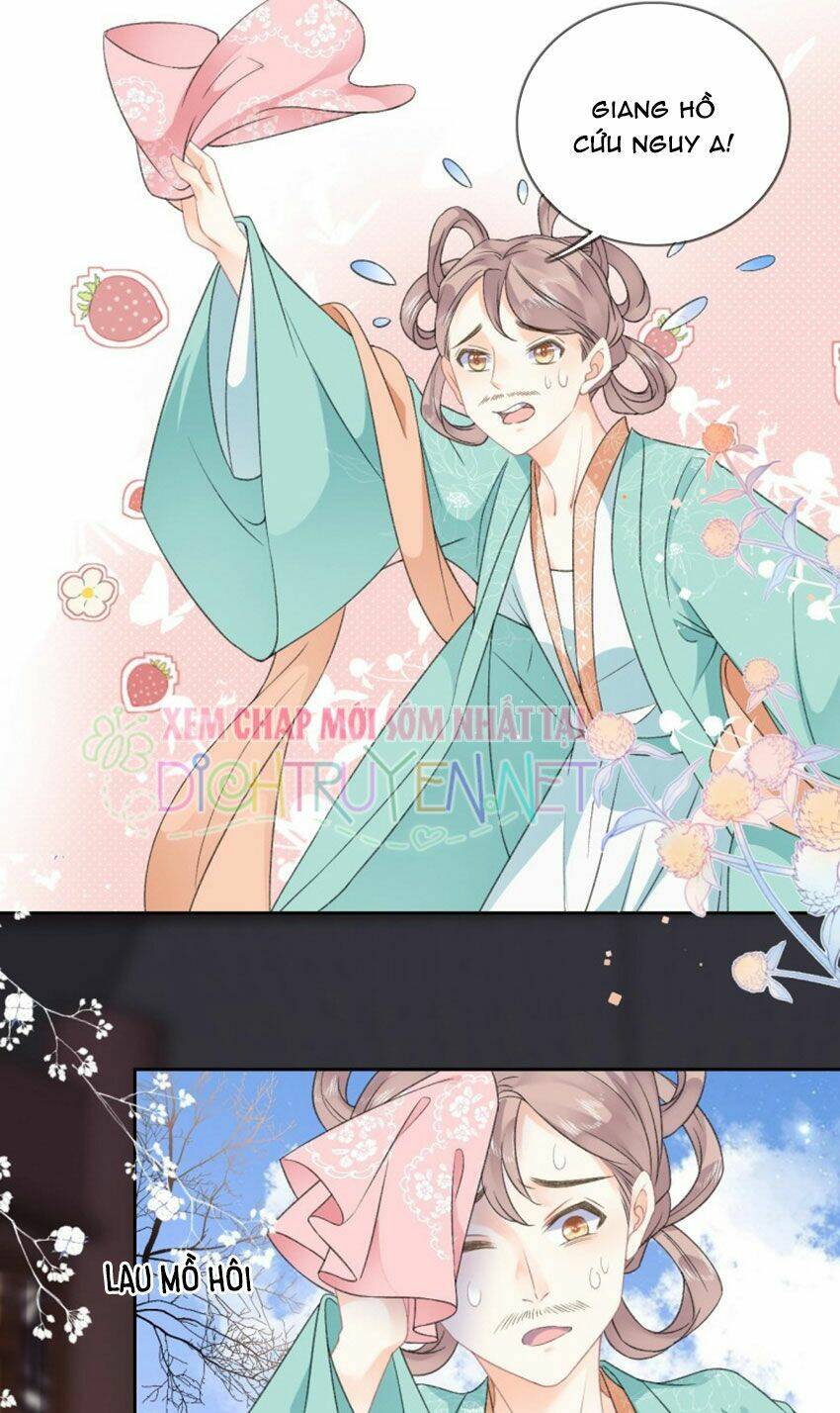 Tang Lạc Túy Tại Nam Phong Lý: Chapter 41
