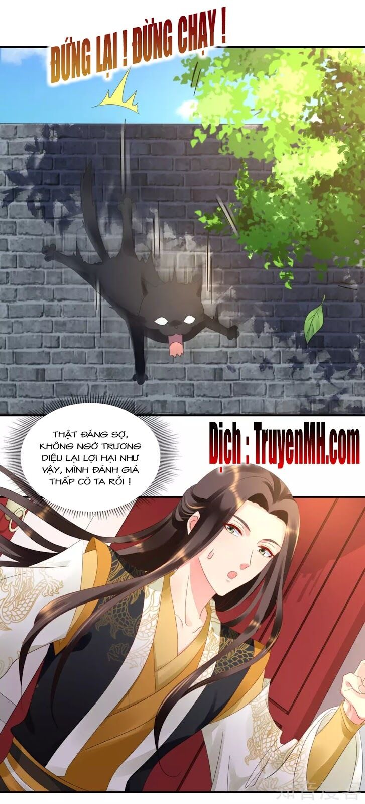 Lãnh Cung Phế Hậu Muốn Nghịch Thiên: Chapter 78