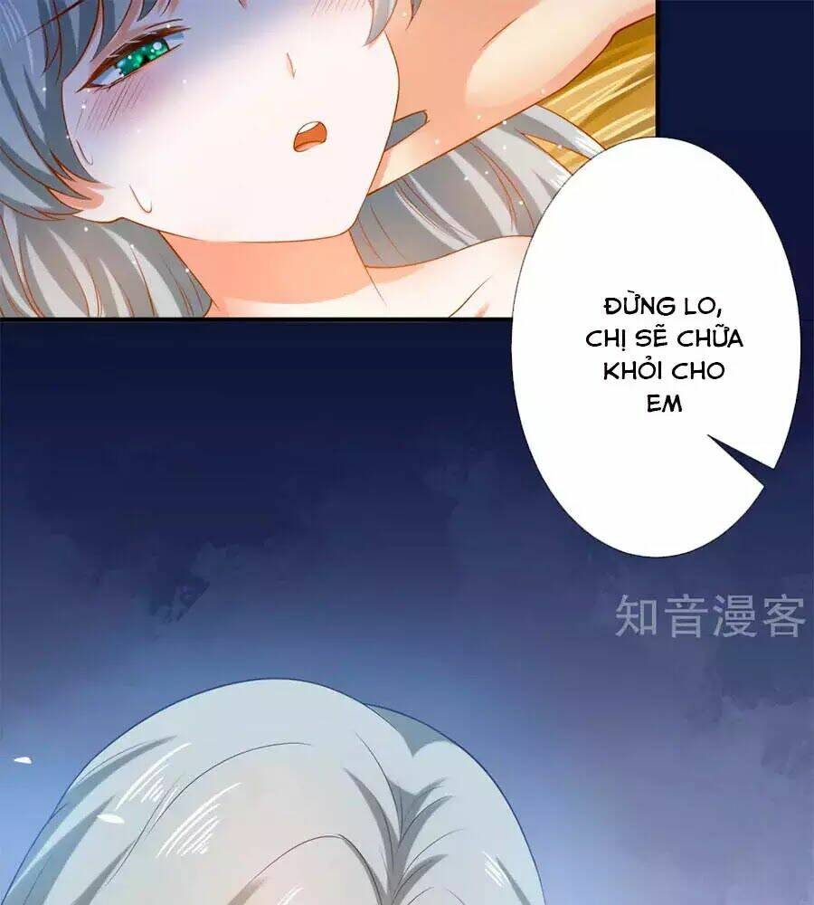 Sủng Hậu Của Vương: Chapter 12