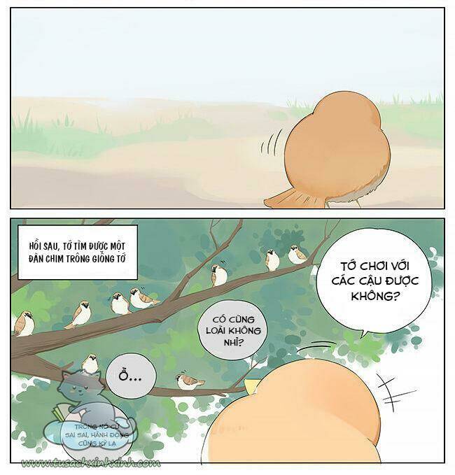 Chim Sẻ Gọi Ngỗng Trời: Chapter 10