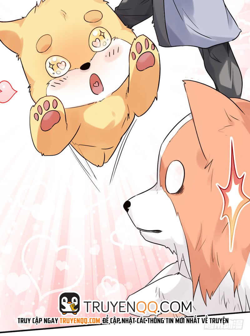 Lụ Đạn, Hôm Nay Lại Cũng Không Thể Biến Thành Người Được: Chapter 3