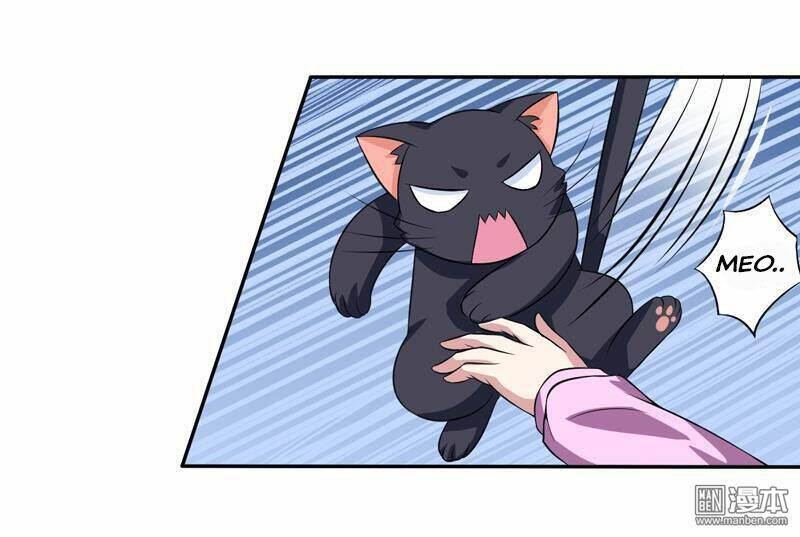 Miêu Vương Tại Thượng: Chapter 6