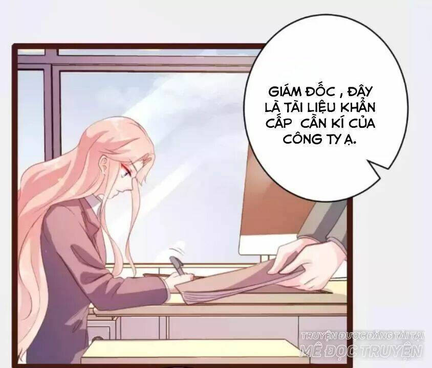 Bản Hợp Đồng Của Tổng Tài Lạnh Lùng: Chapter 24