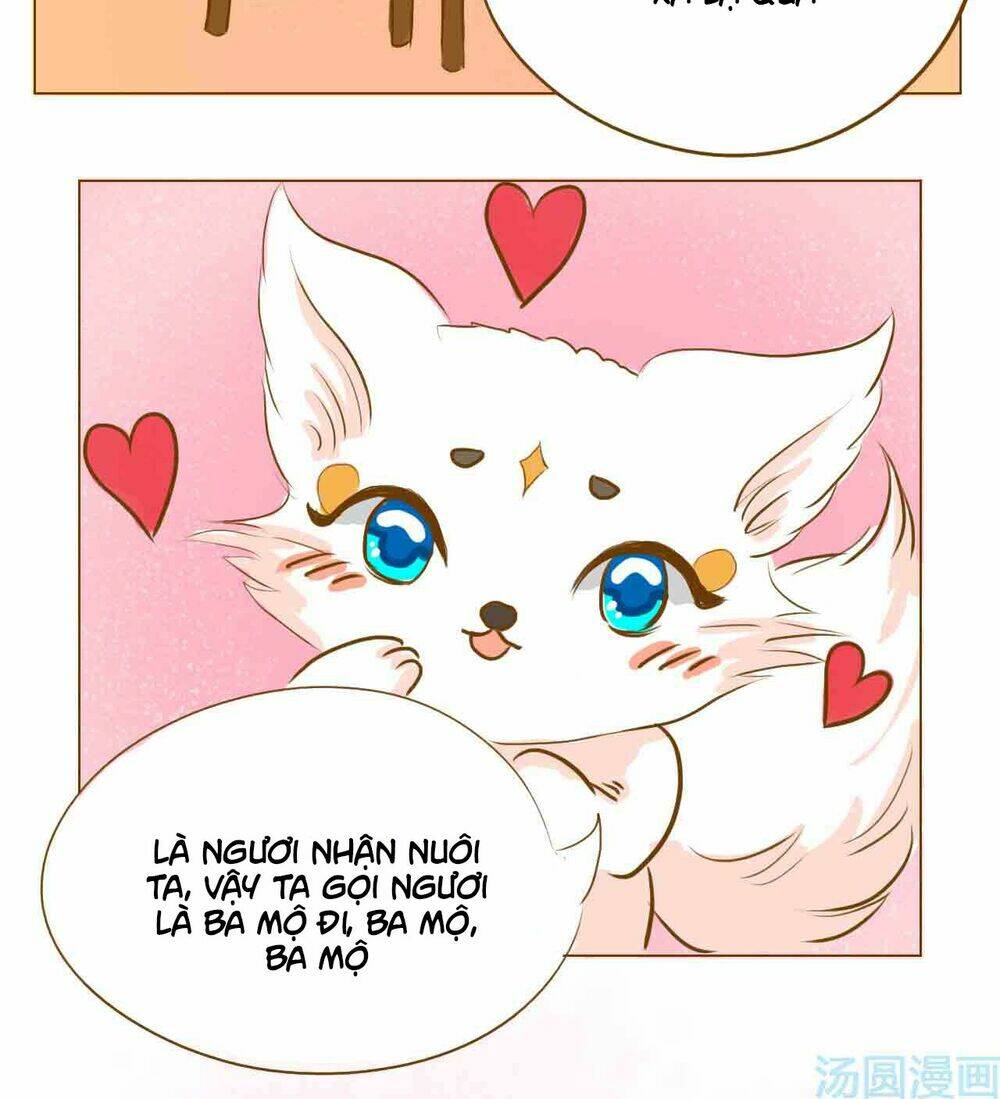 Mẫu Phi Đuôi Của Người Lộ Ra Rồi Kìa: Chapter 5