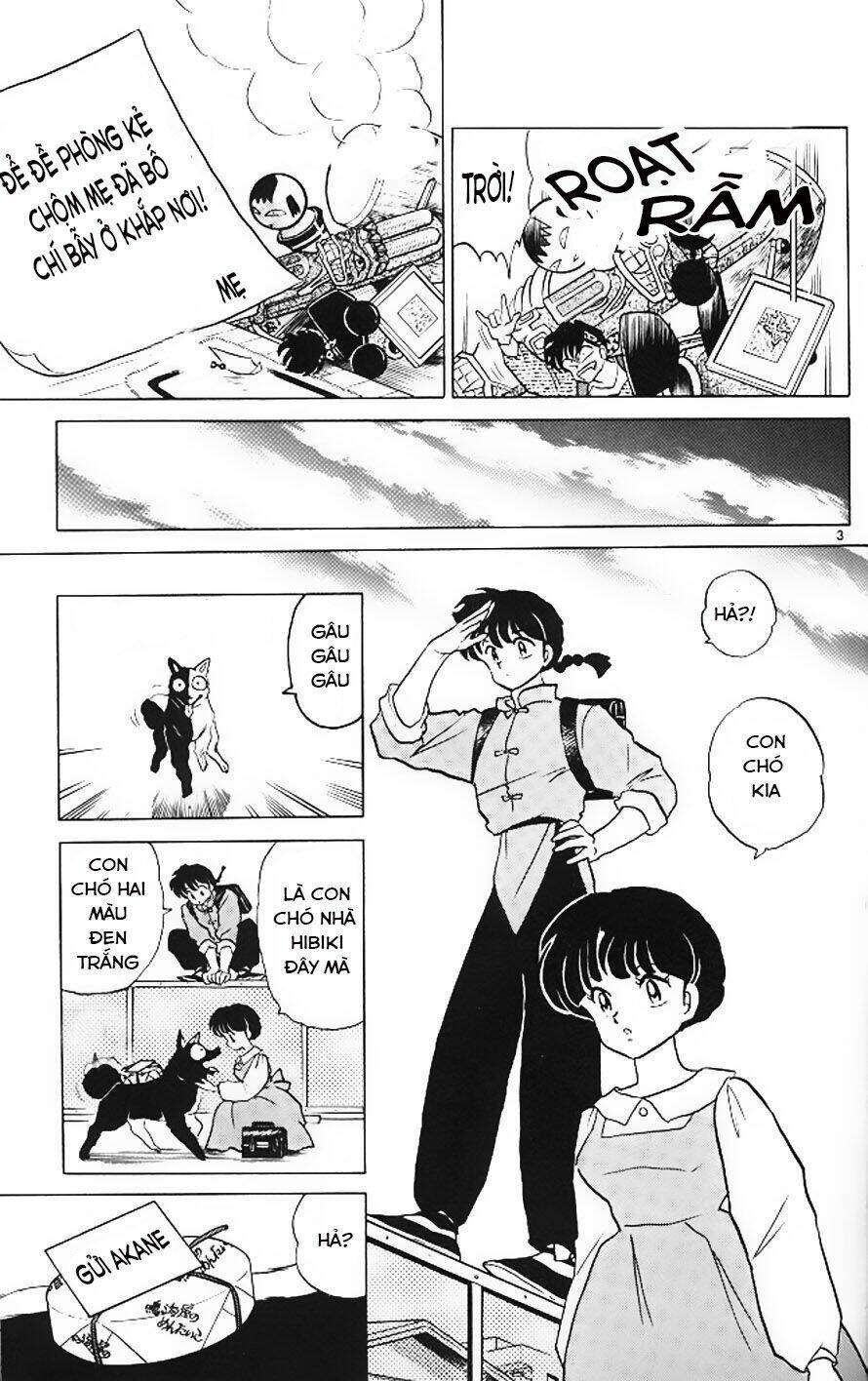 Suối Lời Nguyền: Chapter 326