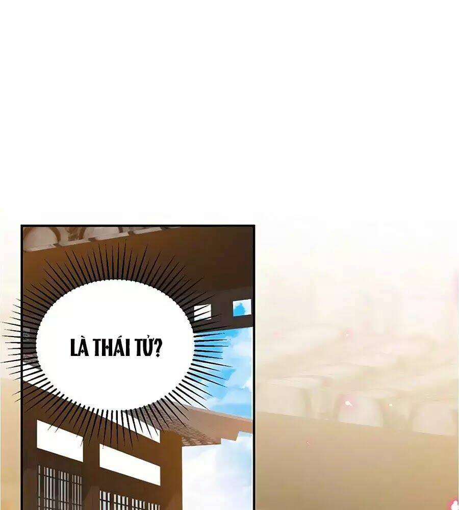 Thịnh Thế Lê Hoa Điện: Chapter 65