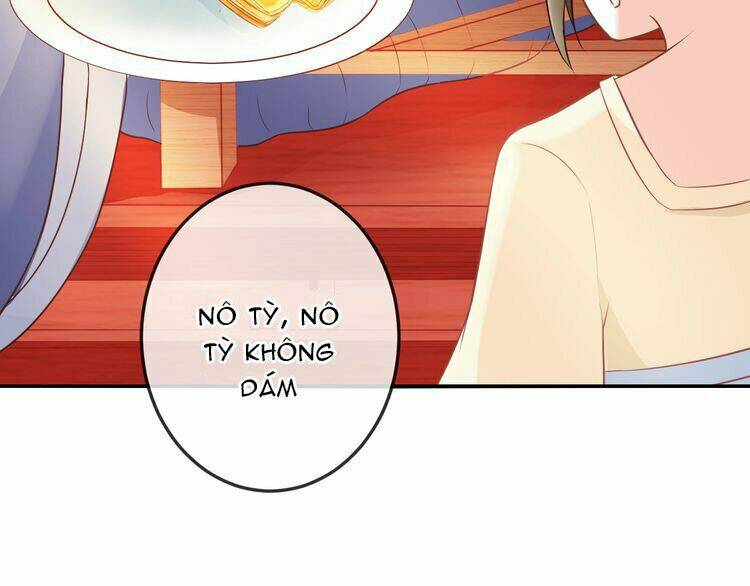 Báo Cáo Vương Gia, Vương Phi Là Một Con Mèo: Chapter 4