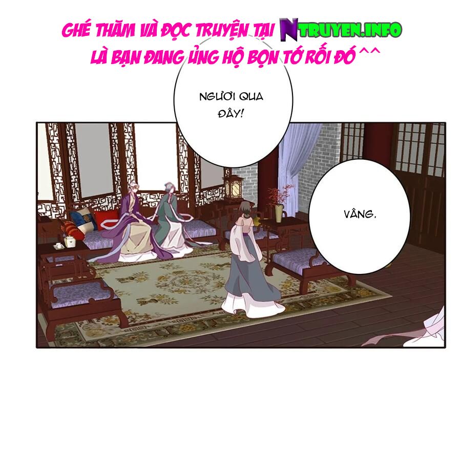Thông Linh Phi: Chapter 604