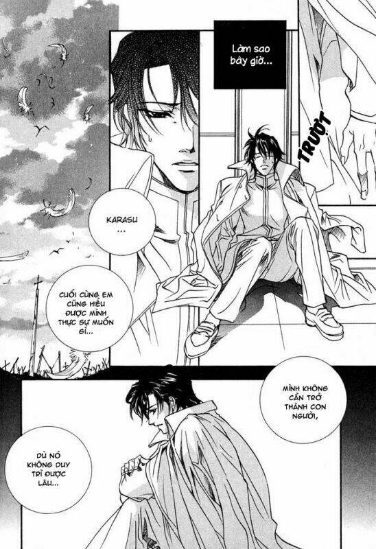 Innocent Bird: Chapter 13