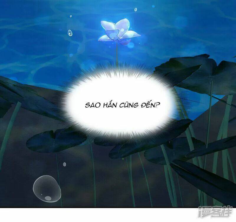 Vương Phi Thông Linh: Chapter 46