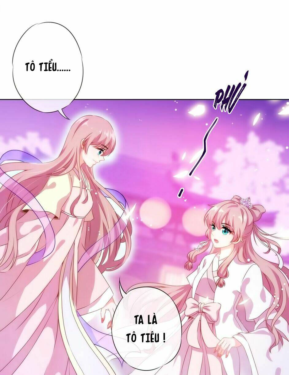 Ồ, Sủng Phi Đại Nhân Của Ta: Chapter 1