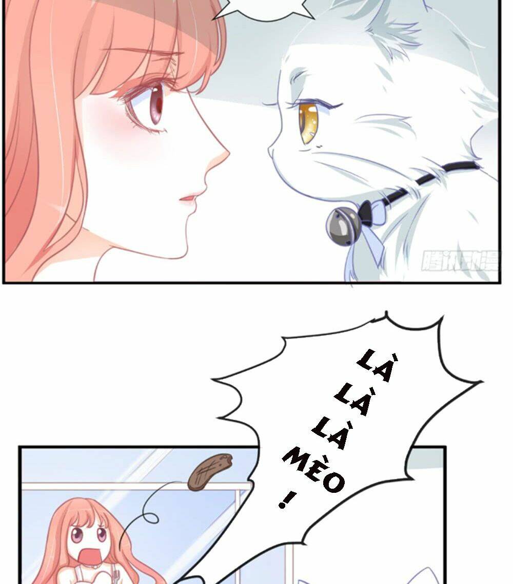 Cẩm Lý Thiếu Nữ Của Tôi: Chapter 5.3