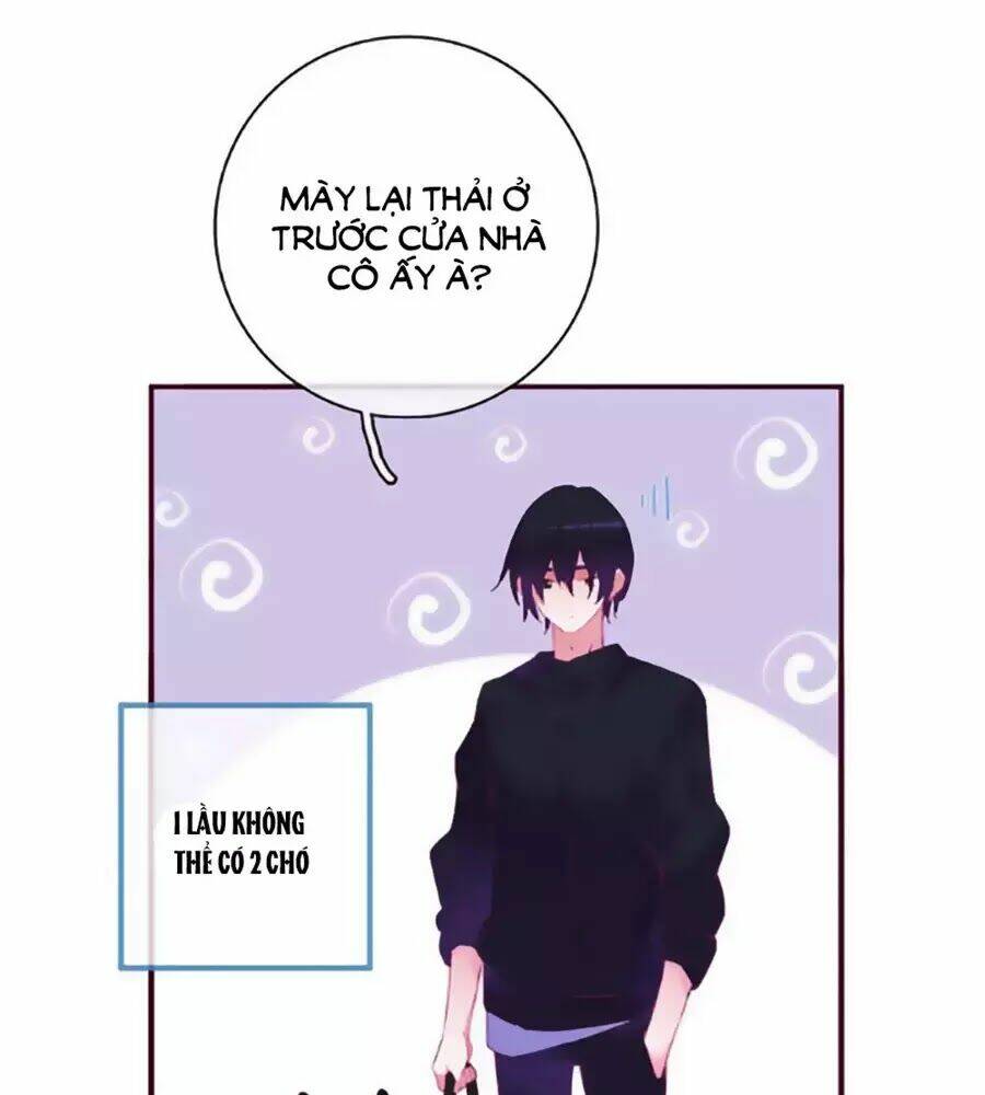 Đừng Nghịch, Ta Chỉ Muốn Yên Tĩnh: Chapter 65