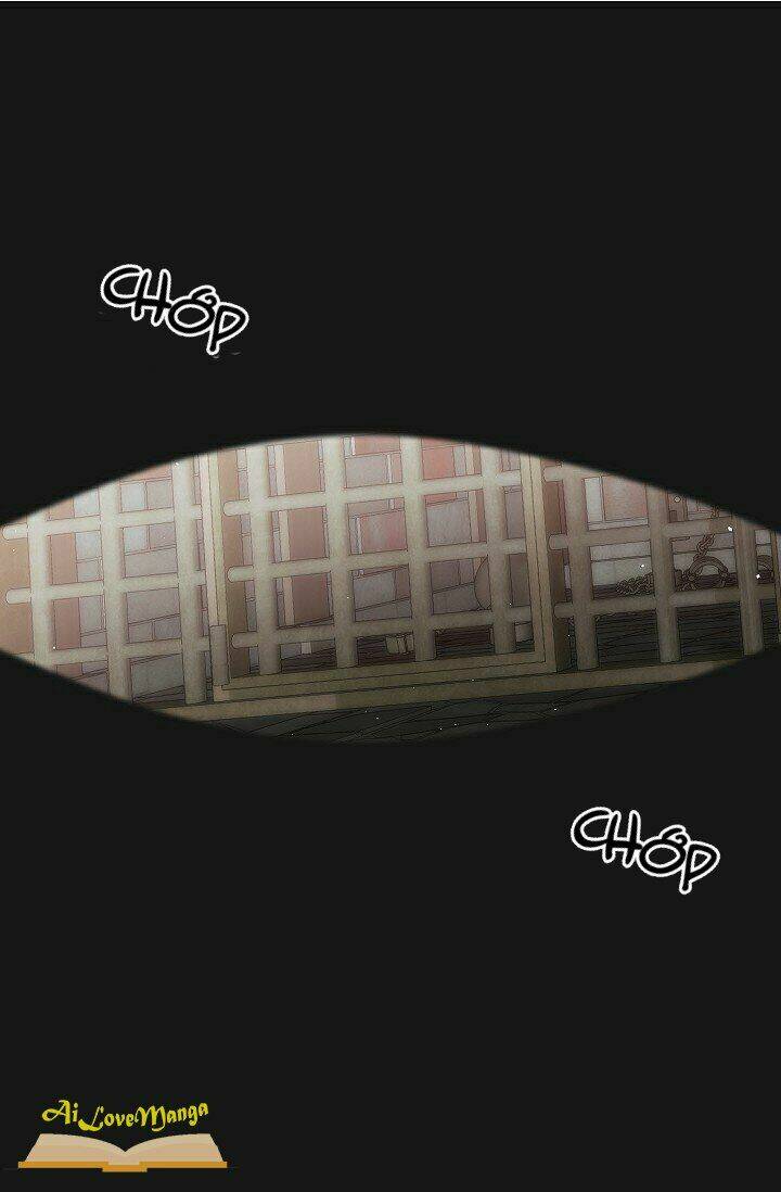 Hôn Lễ Báo Thù: Chapter 28