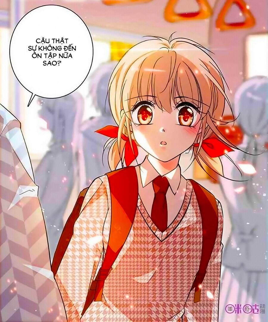 Thanh Ninh Chi Hạ: Chapter 215
