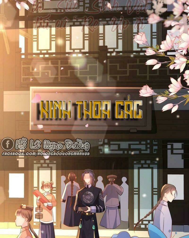 Quận Chúa Vững Vàng, Thiết Lập Nhân Vật Không Thể Vỡ: Chapter 51