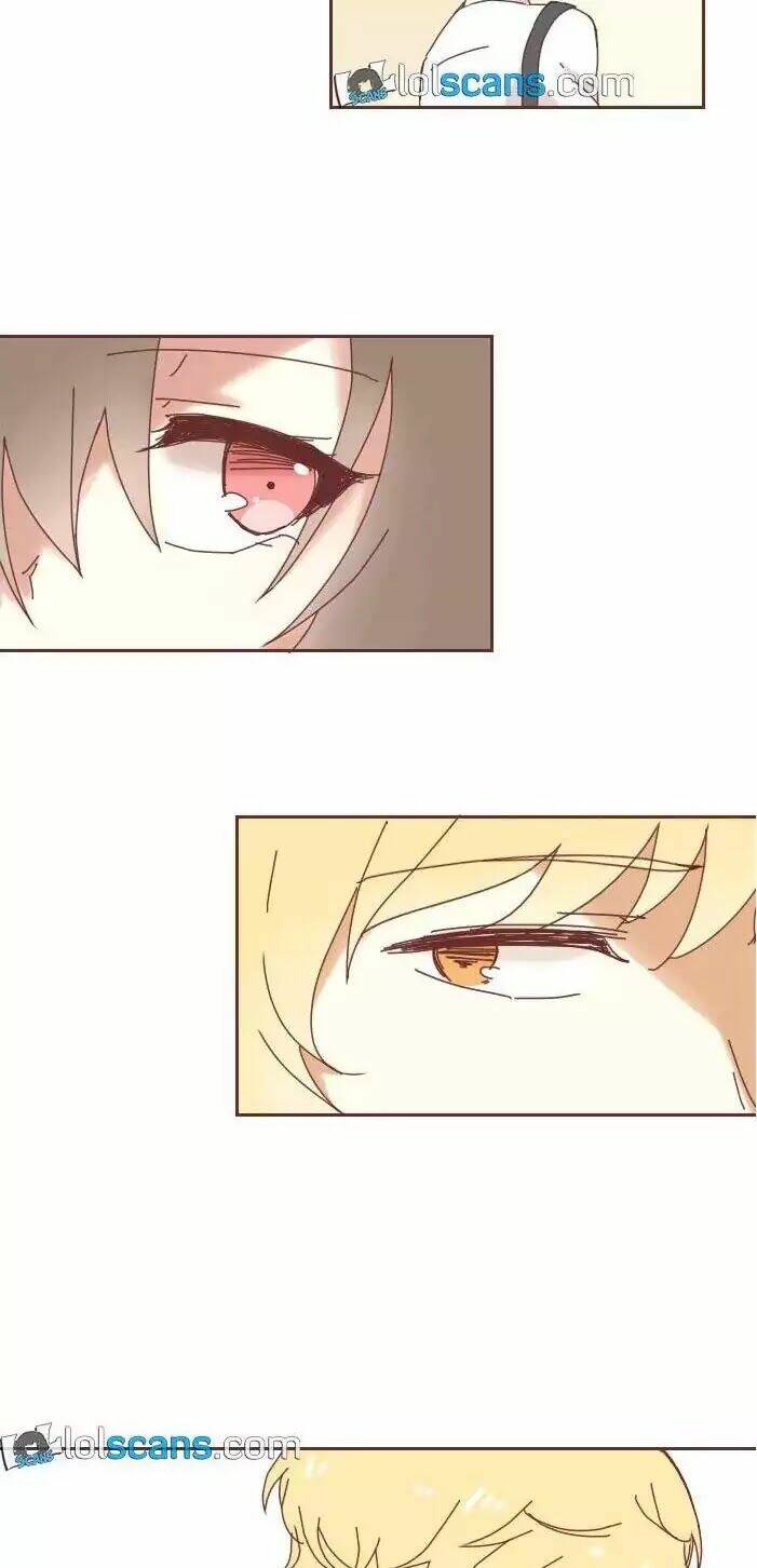 From Nightmare To Love: Chapter 1