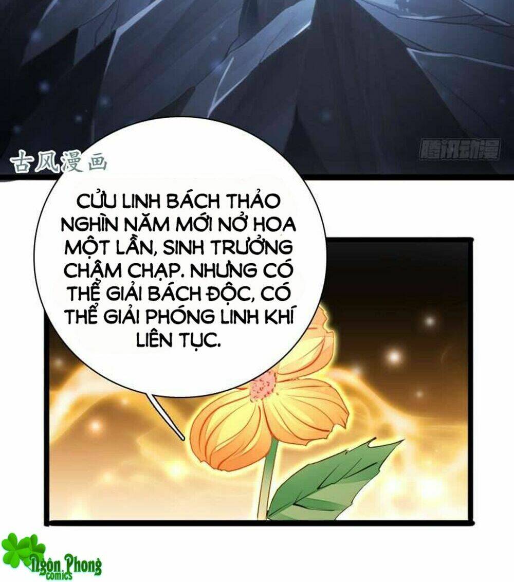 Vạn Năm Nhân Duyên Nhất Tuyến Khiên: Chapter 70